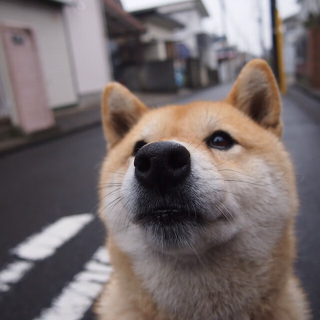 坎特的悲壮独舞,当钢铁意志撞上战术风暴,一己之力如何扛起千钧重压?