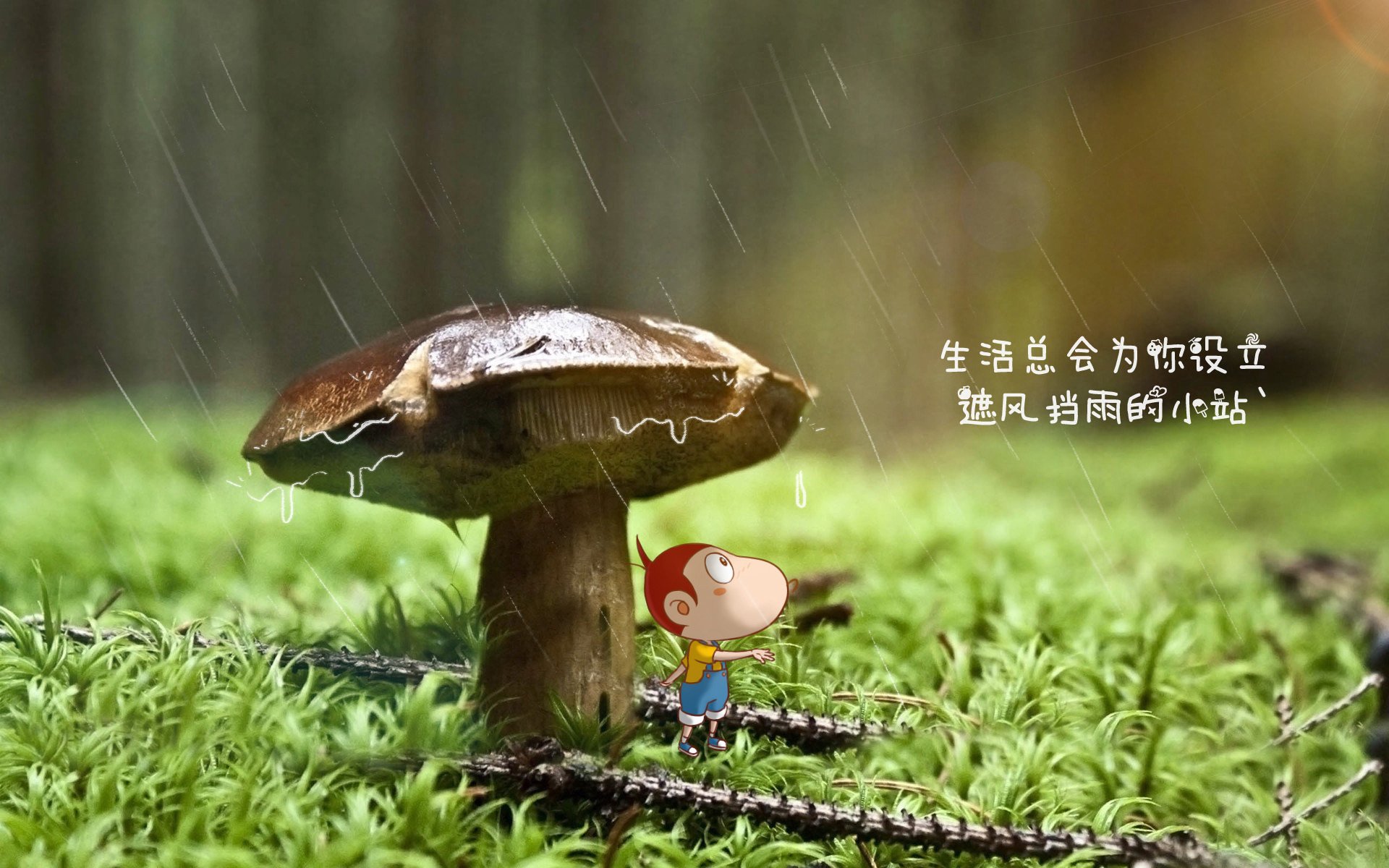 冰与火之歌,恩佐·希维德尔斯基—奥地利绝杀背后的沉默刺客