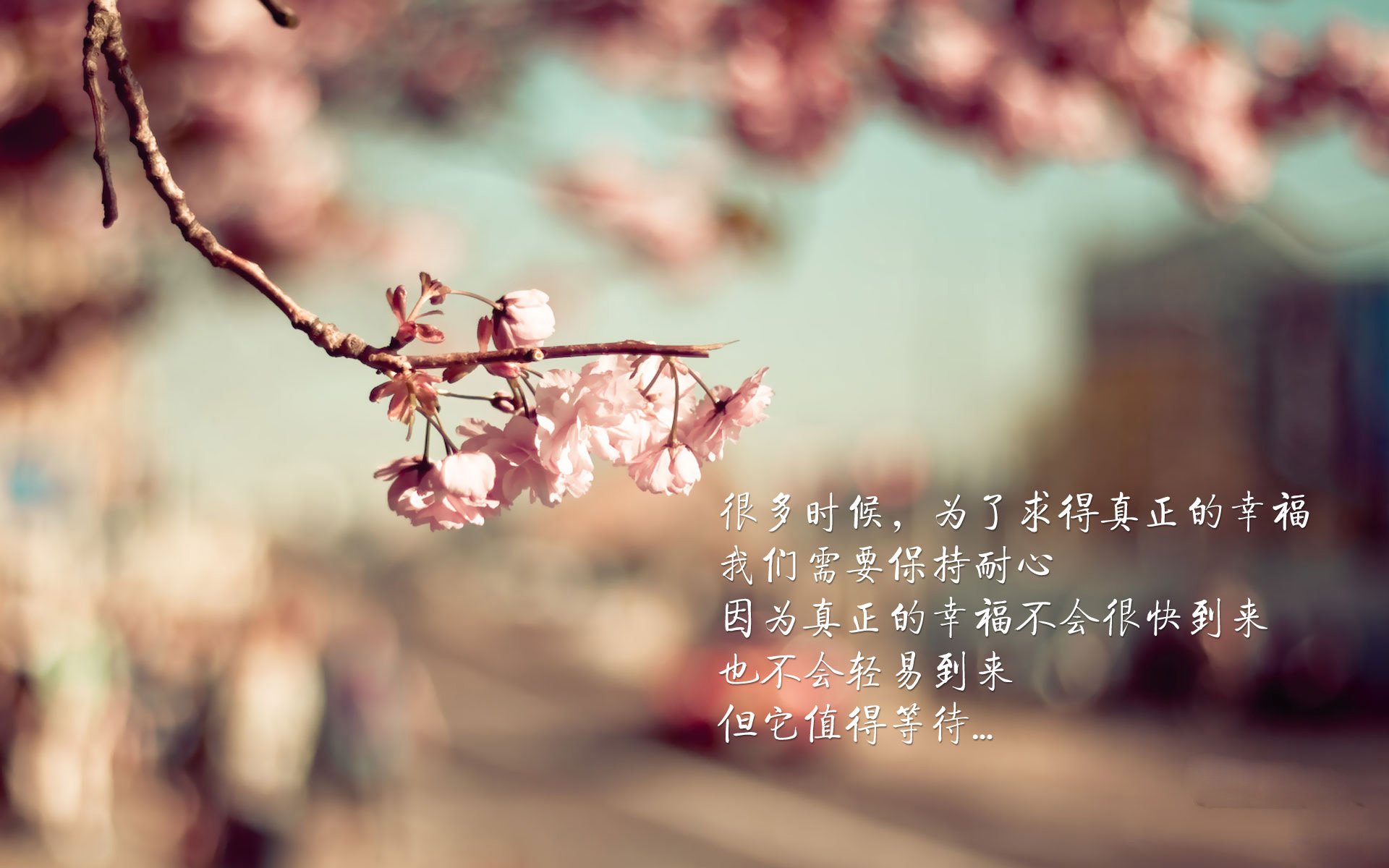 当约基奇在义乌主场发现规则已悄然改写，数据之神的凡人之夜