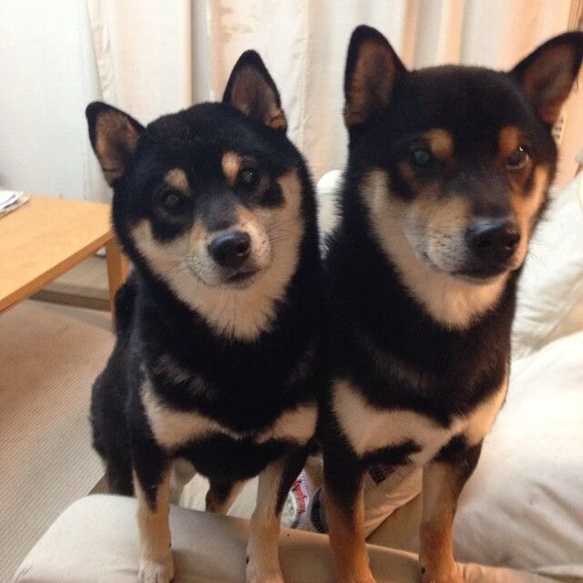 从甲骨文到银石赛道,当文班亚马在F1弯道超车,爵士时代已按下静音键