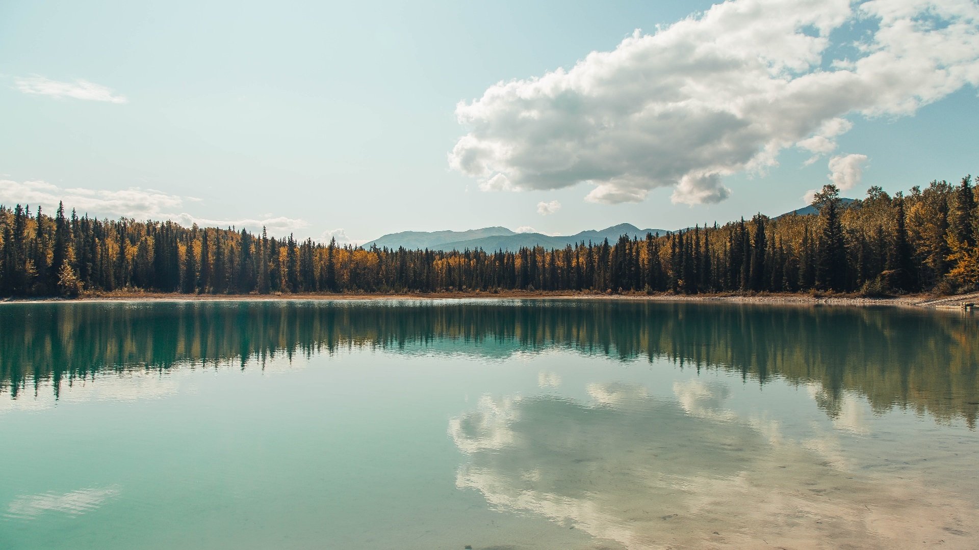 西决生死战焦点战，芬兰战术压制波兰，晋级之路上的关键胜利