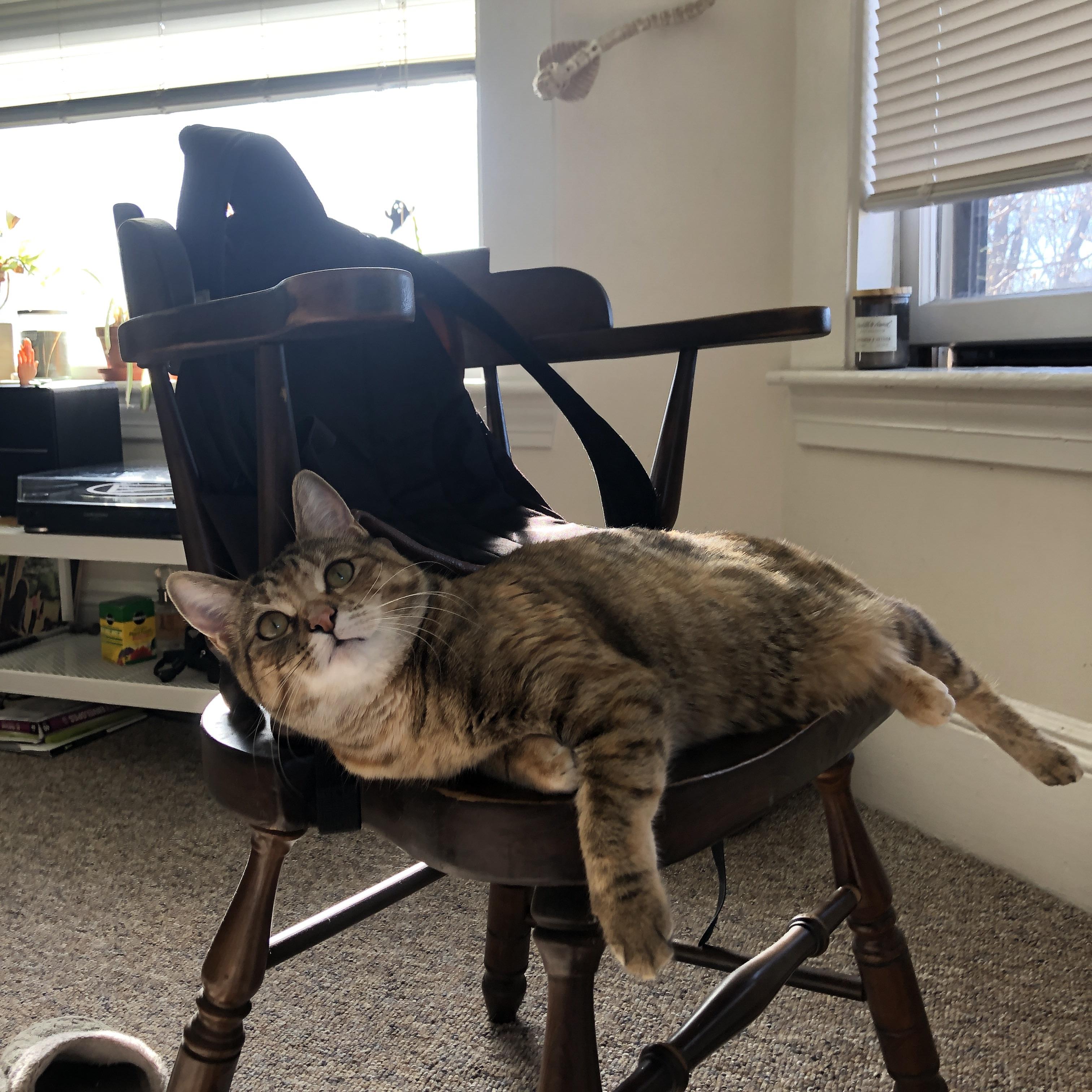 赛场风云录，字母哥横刀立马 步行者加时鏖战 广东饮恨赛场