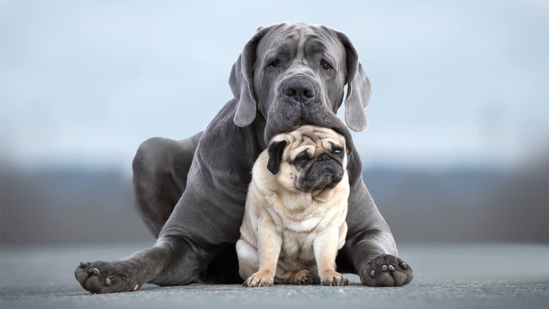 23秒独得8分！伦纳德末节爆发诠释巨星本色，独行侠稳扎稳打拿下火箭